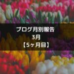 ブログ月別報告-3月-【5ヶ月目