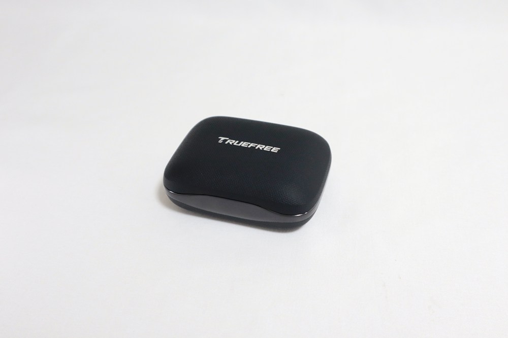 TRUEFREE EarFitDS1の外観