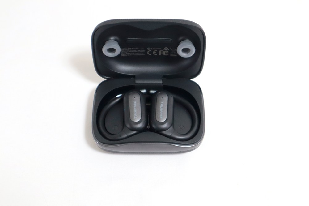 TRUEFREE EarFit DS1のイヤホンはシンプル