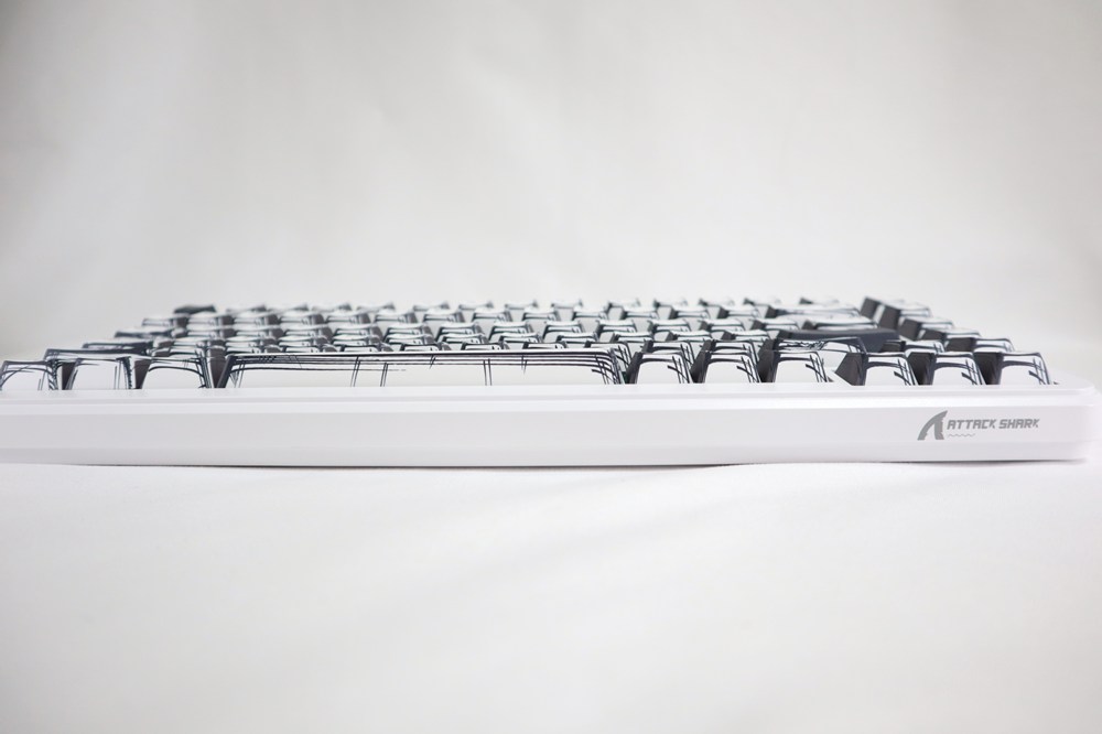 若干プラスチック感