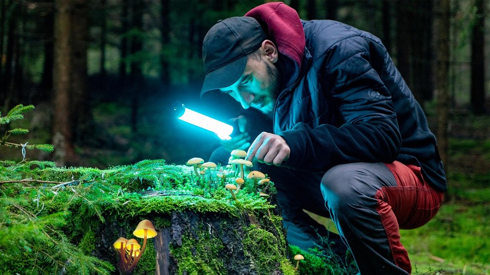 レビューの見方（星より中身）