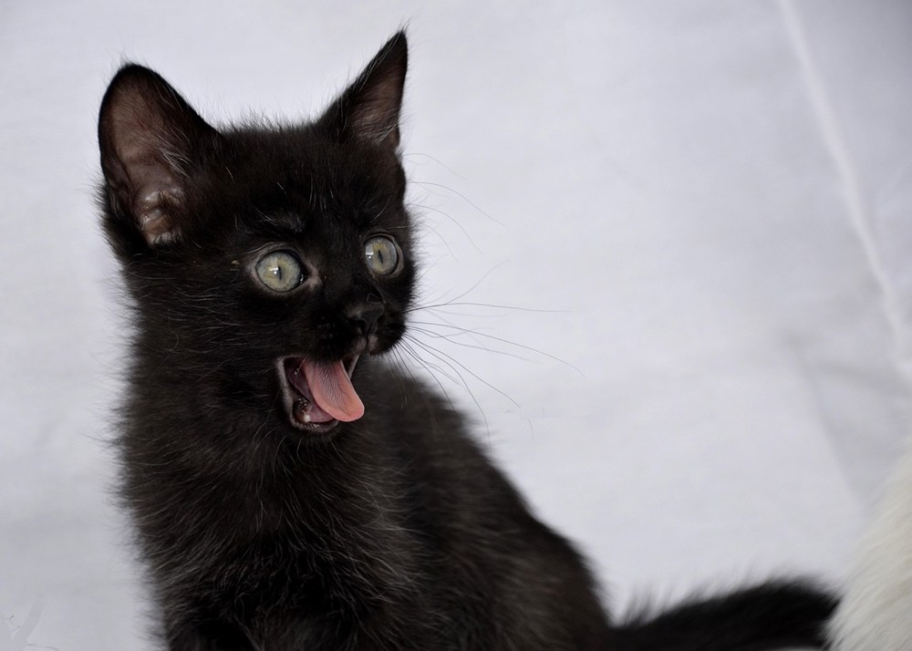 体感差が出るのはここ｜速度が効く場面・効かない場面